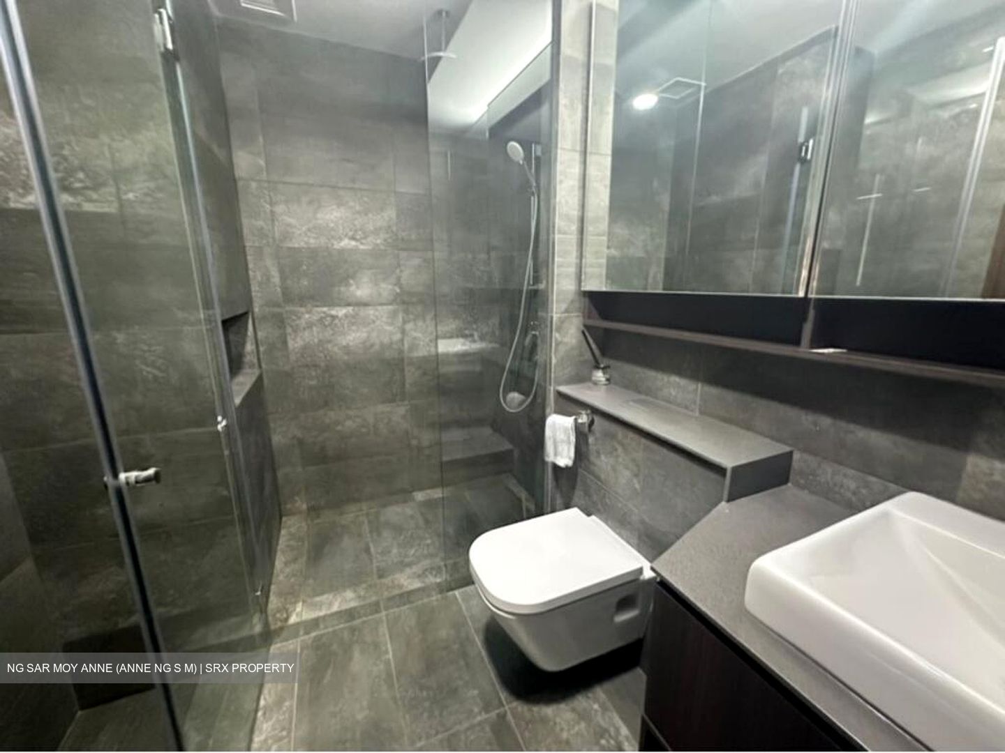 Grandeur Park Residences (D16), Condominium #496546971